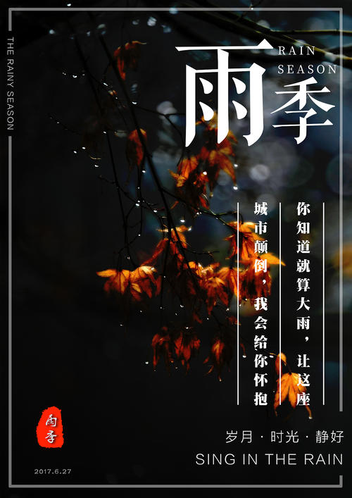 圣路易大学学士毕业证